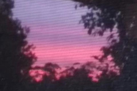 Abelia BIG SPA NO 1 Cottage - Dalby Accommodation 7