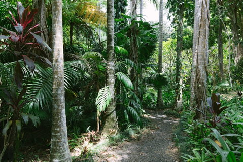 Sanctuary In The Pocket - Dalby Accommodation 3