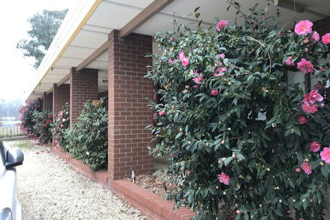 Molesworth Food & Wine Company - Dalby Accommodation 1