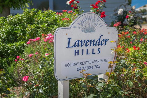 Lavender Hills 12 Bennett Street - Dalby Accommodation 7