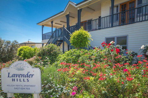 Lavender Hills 12 Bennett Street - Dalby Accommodation 3