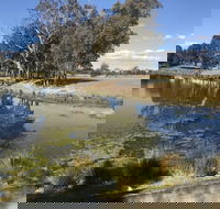 Rivers Apartments  Motel Sale Gippsland - Dalby Accommodation