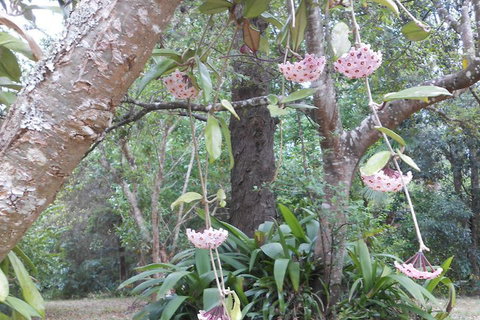 Crabbes Creek Cottages - Dalby Accommodation 5