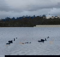 Lake Yalleena Nature Retreat - Dalby Accommodation