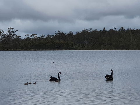 Lake Yalleena Nature Retreat - Dalby Accommodation 0