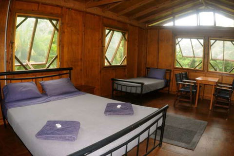 Daintree Rainforest Bungalows - Dalby Accommodation 4