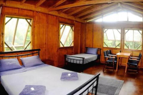 Daintree Rainforest Bungalows - Dalby Accommodation 5