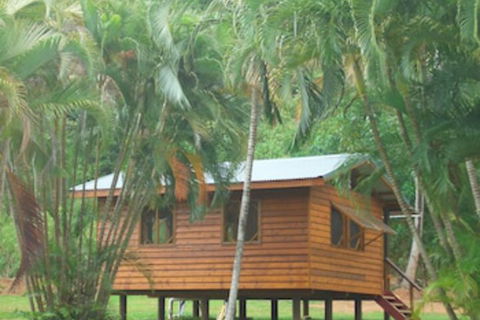 Daintree Rainforest Bungalows - Dalby Accommodation 0