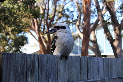 POINT BREAK WEEKLY ONLY - Dalby Accommodation 2