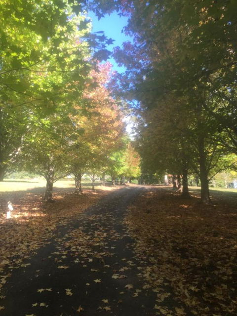 A Peaceful Cabin In The Country - Dalby Accommodation 2