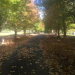 A Peaceful Cabin In The Country - Dalby Accommodation 0