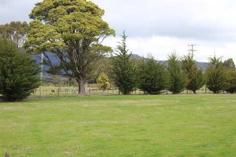 Tiny Cradle At The Good Place - Dalby Accommodation 5