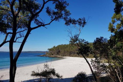 Excellent St. Granny Flat - Dalby Accommodation 6
