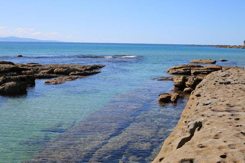 The Crescent Pet Friendly 1 Min To Beach - Dalby Accommodation 1