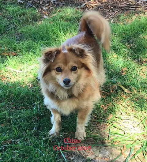 Acacia Hills Retreat - Dalby Accommodation 4