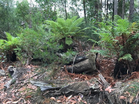 Acacia Hills Retreat - Dalby Accommodation 2