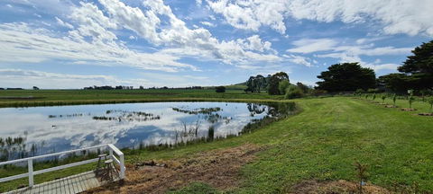 New Horizons Farm Stay - Dalby Accommodation 6
