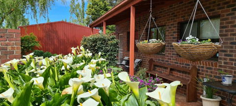 New Horizons Farm Stay - Dalby Accommodation 1