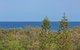 Dune Beachfront Apartments - thumb 4