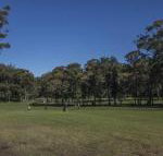 Championship Golf Course on your Back Door - Dalby Accommodation