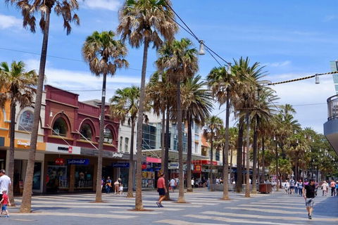 Manly Studio 2 Minutes From The Beach - Dalby Accommodation 1