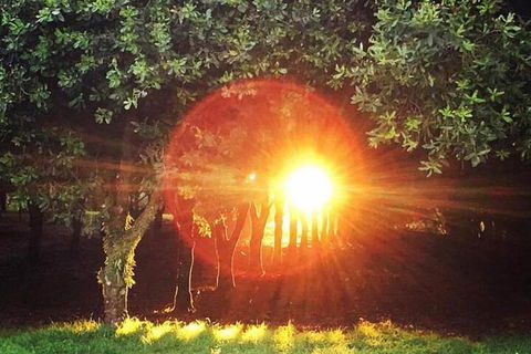 Glamping Byron Bay - Dalby Accommodation 7