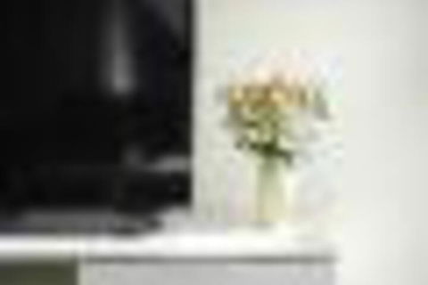 TWIG CBD Water Views - Dalby Accommodation 6