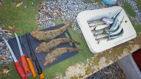 Willygunyah - Dalby Accommodation 1