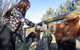 Jervis Bay Luxury Farm Escape - thumb 5