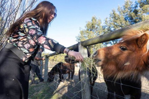 Jervis Bay Luxury Farm Escape - Dalby Accommodation 5