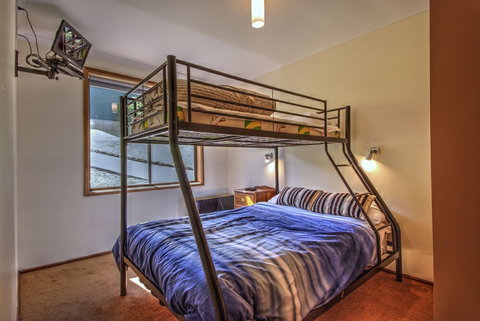 Sandgroper - Dalby Accommodation 4