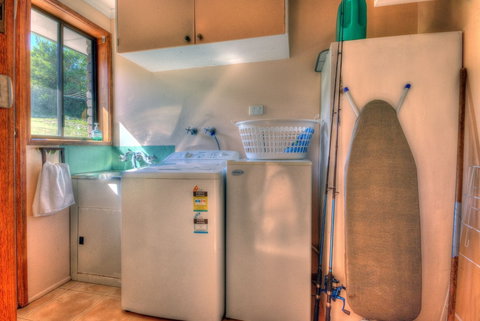 Sandgroper - Dalby Accommodation 5