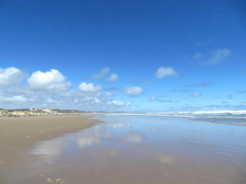 Arthur Riverfront & Sea Lodge Downstream - Dalby Accommodation 0