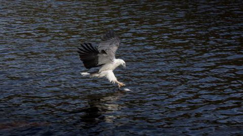 Arthur Riverfront & Sea Lodge Downstream - Dalby Accommodation 3
