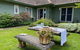 GOWAN ROSS COTTAGE - thumb 2
