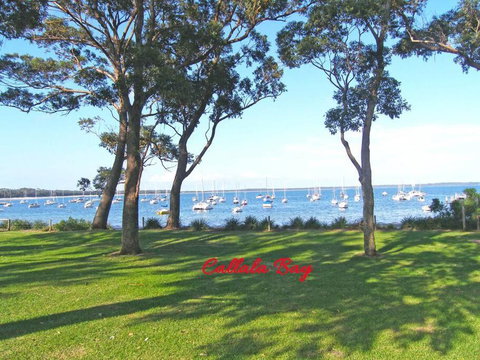 CHAP14C Chapman Cottage - Dalby Accommodation 3