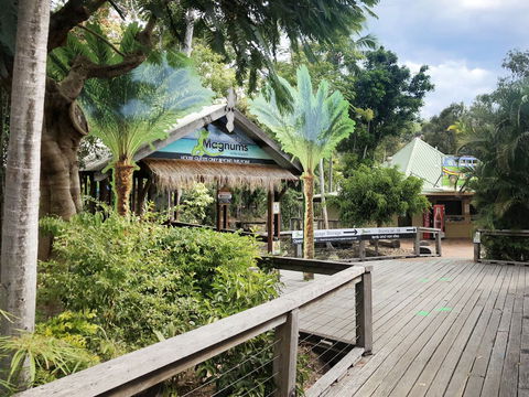 Magnums Airlie Beach - Dalby Accommodation 5