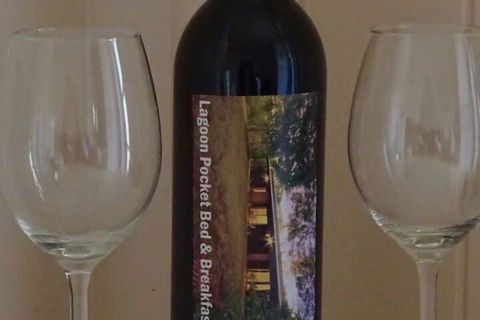 Lagoon Pocket B&B - Dalby Accommodation 7