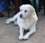 Nazaaray Beach House - Dalby Accommodation