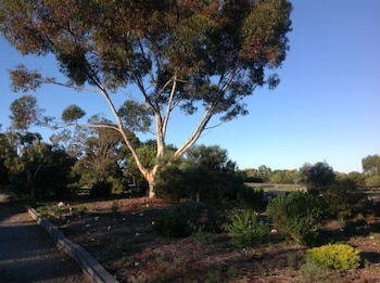 Murray Bridge Motor Inn - Dalby Accommodation 1