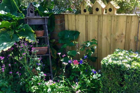 Aggies Bed & Breakfast - Dalby Accommodation 7