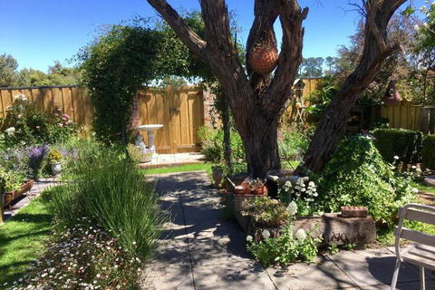 Aggies Bed & Breakfast - Dalby Accommodation 5