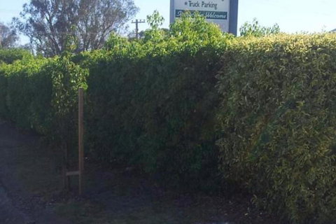 Glenndale Park Motel - Dalby Accommodation 4