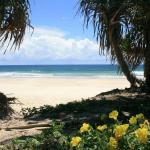 Ozone Shores - Dalby Accommodation 0