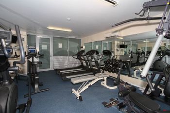 Resort Apartment 8224 - Dalby Accommodation 5