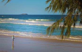 Pacific Royale Holiday Apartment 313 - Dalby Accommodation 2