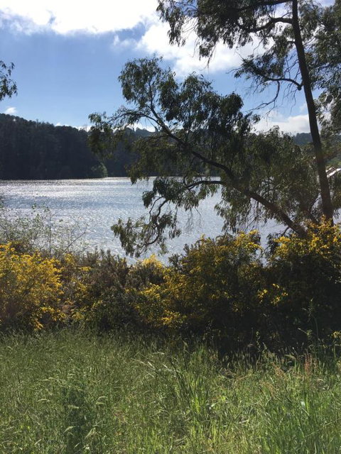 Lakeside Conti Villas - Dalby Accommodation 1