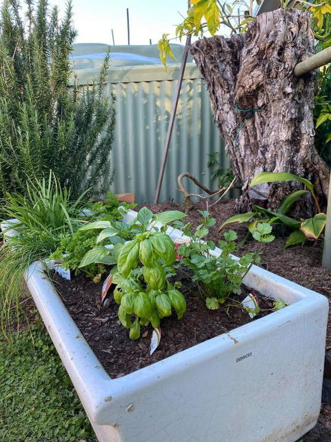 A Drop In The Ocean Kingscliff - Dalby Accommodation 5