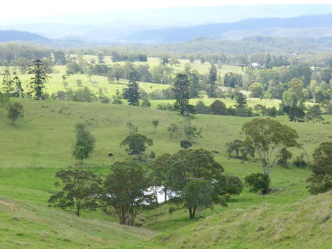 Anduramba Homestead B & B - Dalby Accommodation 4