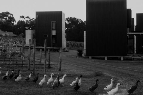 Barn Hives Yallingup - Dalby Accommodation 1